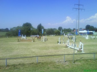 evi_horse evi_horse